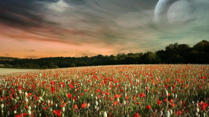 Gemini 2.5 Flash 和Pro稳定版上线，和之前版本相比，在性能和应用场景上有哪些提升？